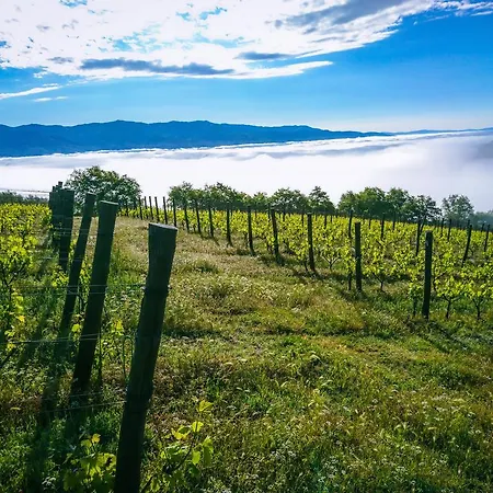 Tenuta La Novella شقة *